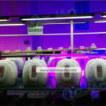 3 Colors In 1 Wrinkle Removal Led Beauty Light Machine | Beauty Salon Equipment - Image 3