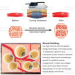 New Arrivals 4 Handles EMS Professional Muscle Stimulator Slimming Body | Body Sculpting Machines - Image 2