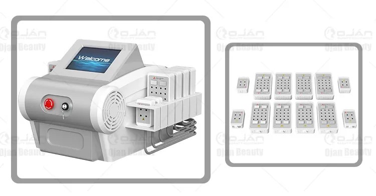 650nm–980nm Mitsubishi Diode Laser Lipo Machine